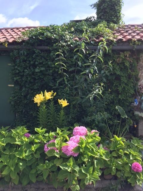 La Belle Landaise 1809 Arridoulet 1 Holiday home