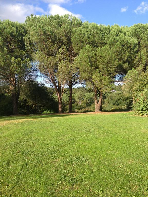 La Belle Landaise 1809 Arridoulet 1 *